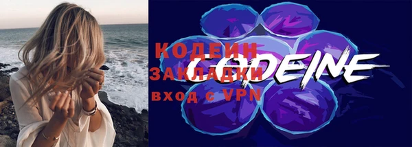 крисы Анжеро-Судженск