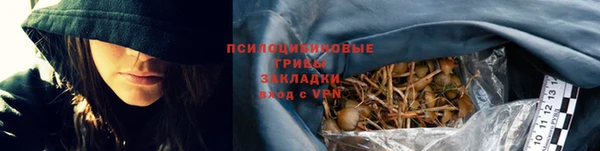 крисы Анжеро-Судженск