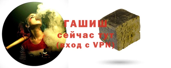 молекула духа Пионерский