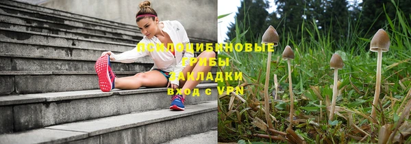 ECSTASY Михайловск