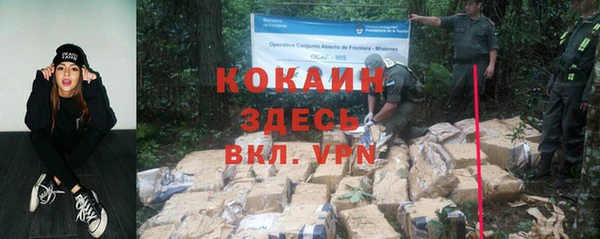 бошки Аша