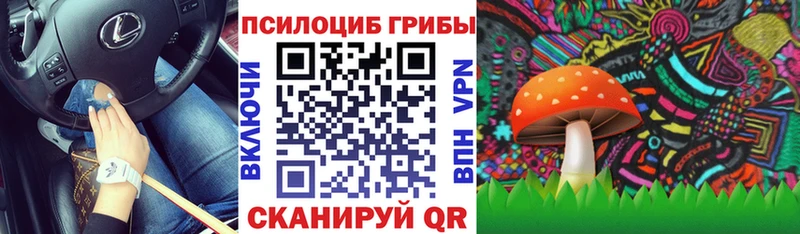 Псилоцибиновые грибы прущие грибы  мориарти какой сайт  Рубцовск 