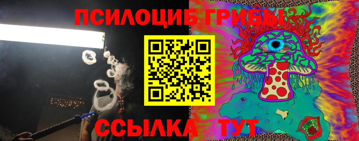 Рубцовск  Псилоцибиновые грибы Psilocybine cubensis  Вход с VPN 