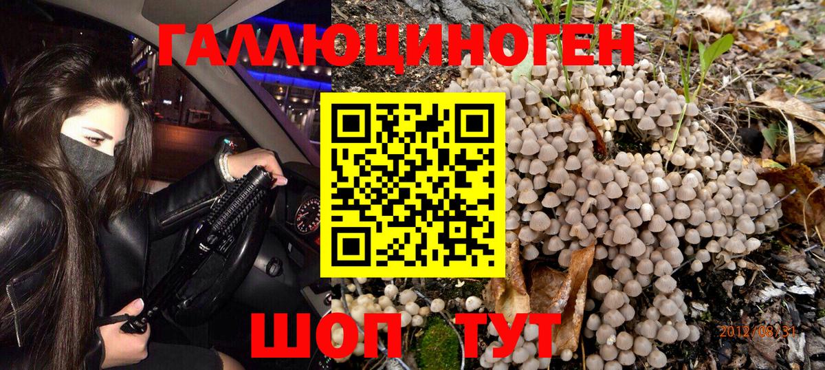 Галлюциногенные грибы Magic Shrooms  где купить   Рубцовск 